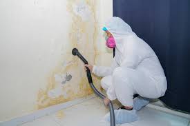 Best Mold Prevention Services  in Mentor, OH